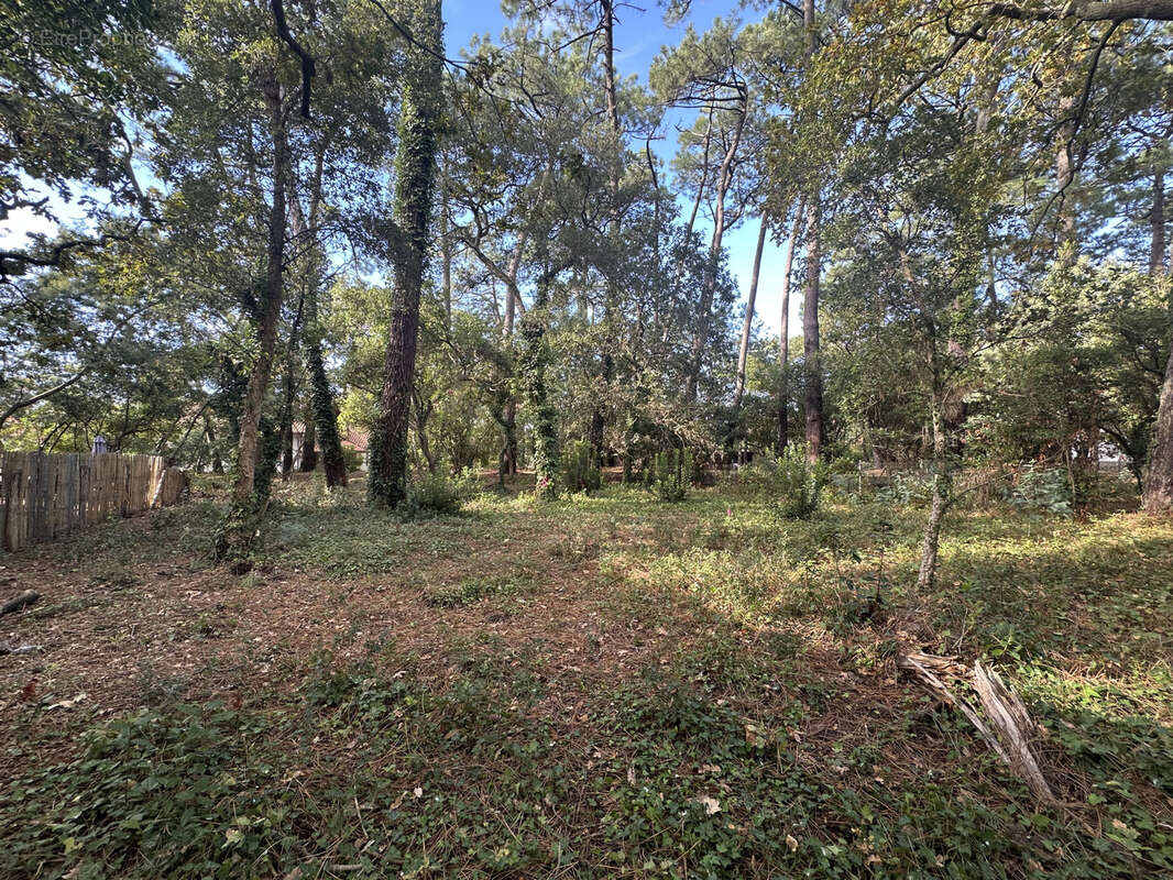 Terrain à CAPBRETON