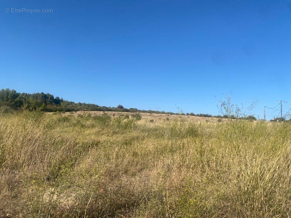 Terrain à PORTEL-DES-CORBIERES