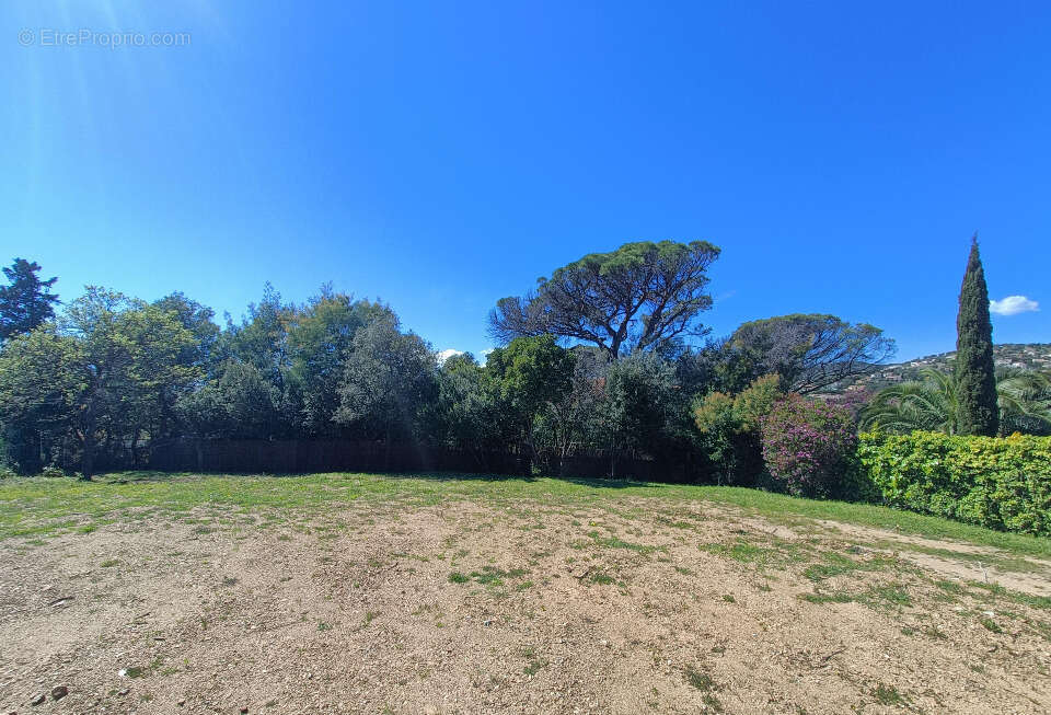 Terrain à LES ISSAMBRES