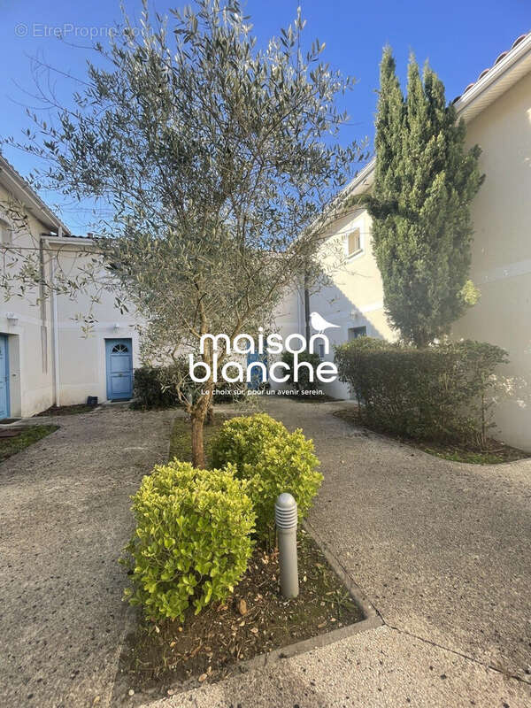 Maison 60 m² à Saint-Seurin-Sur-L'isle  - photo 8