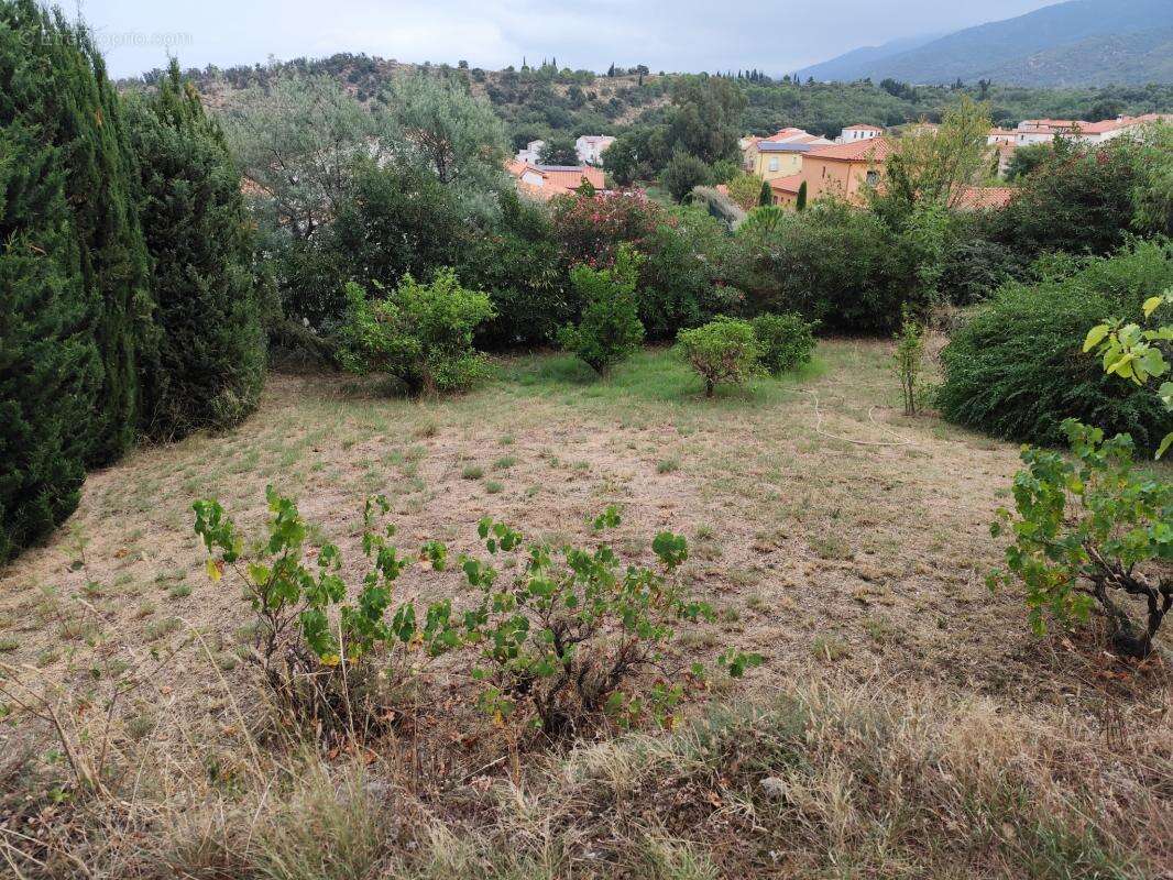 Terrain constructible avec vue sur les Albères - photo 2