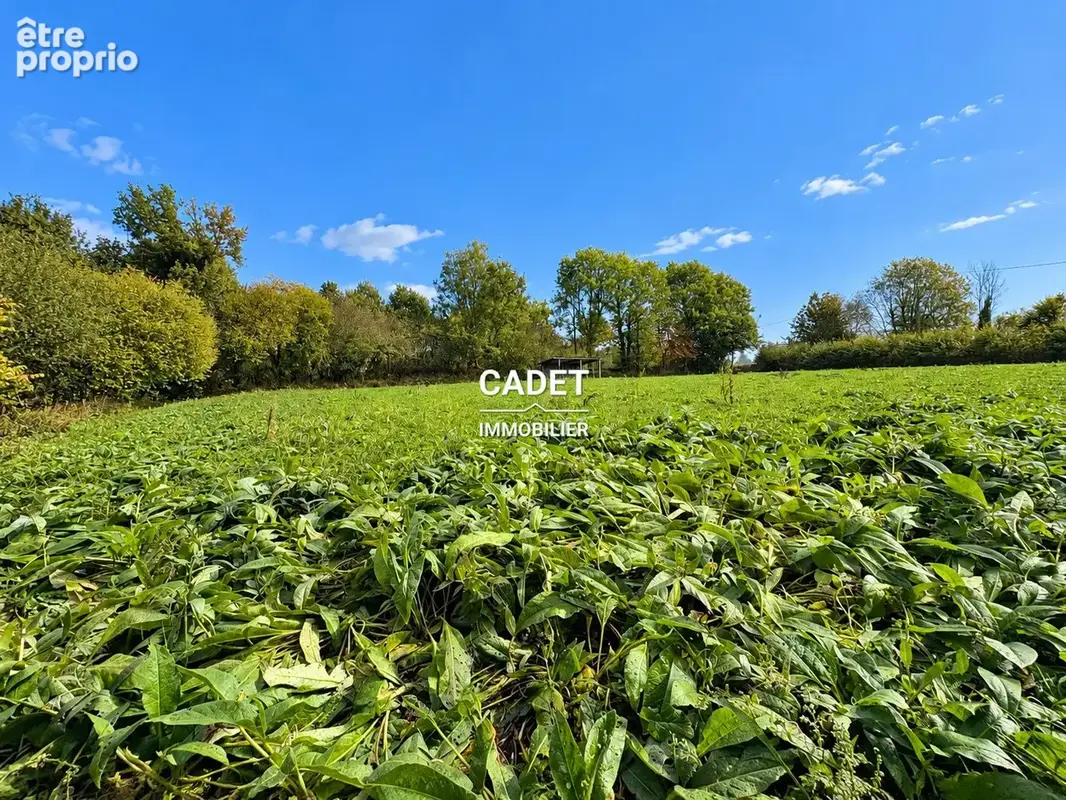Terrain 3 250 m² à vendre à La Haye-Pesnel (50320) - photo 4
