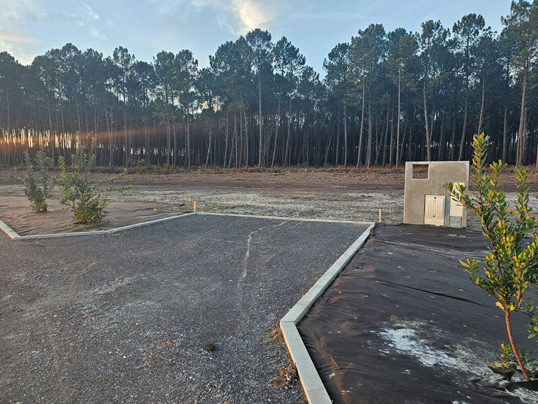 Terrain à VIELLE-SAINT-GIRONS