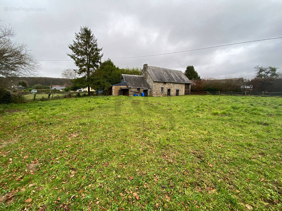 Terrain à SAINT-CLAIR-DE-HALOUZE