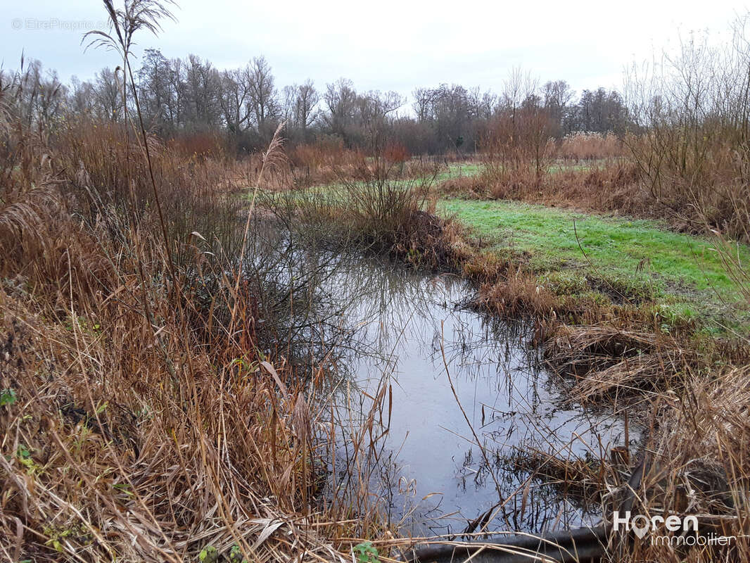 Vallee de l'authie - photo 3