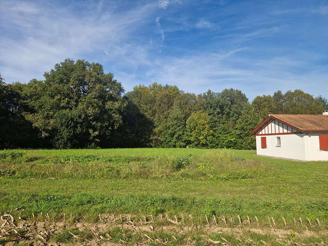Terrain à URRUGNE