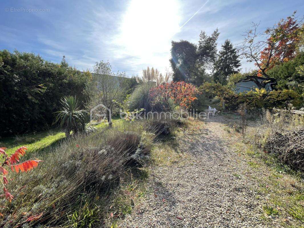 Maison à BOIS-LE-ROI