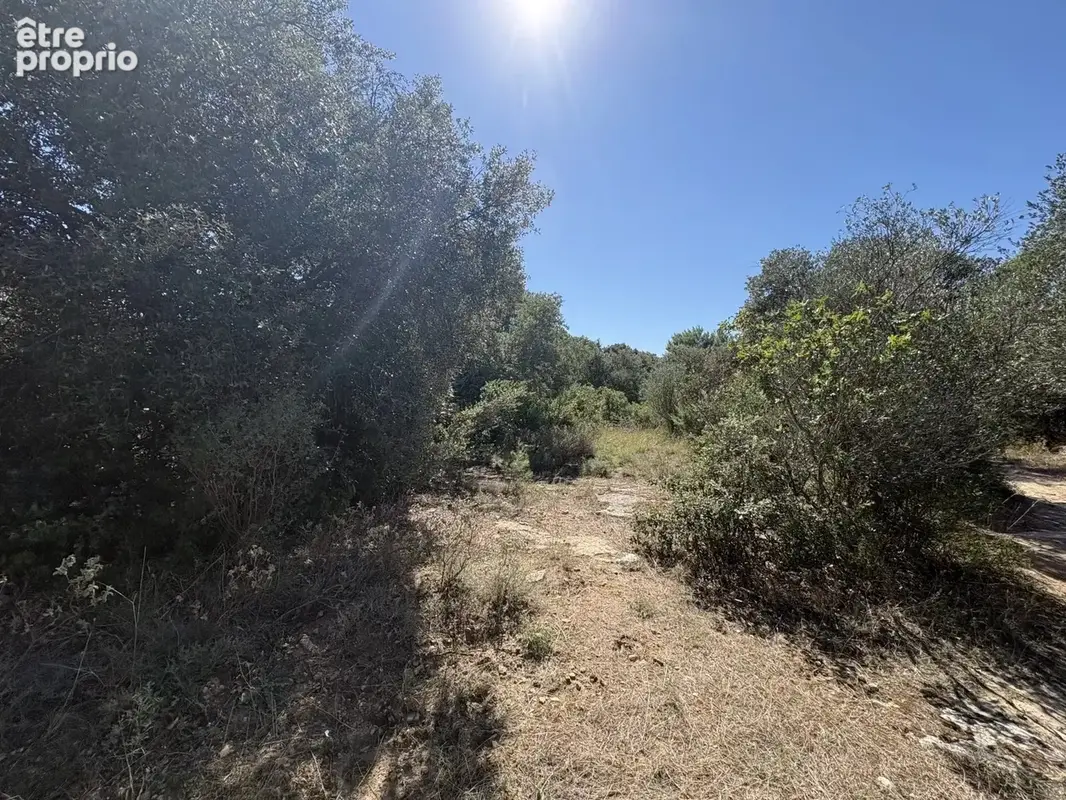 Terrain 10150m2 - 30700 UZES - photo 4