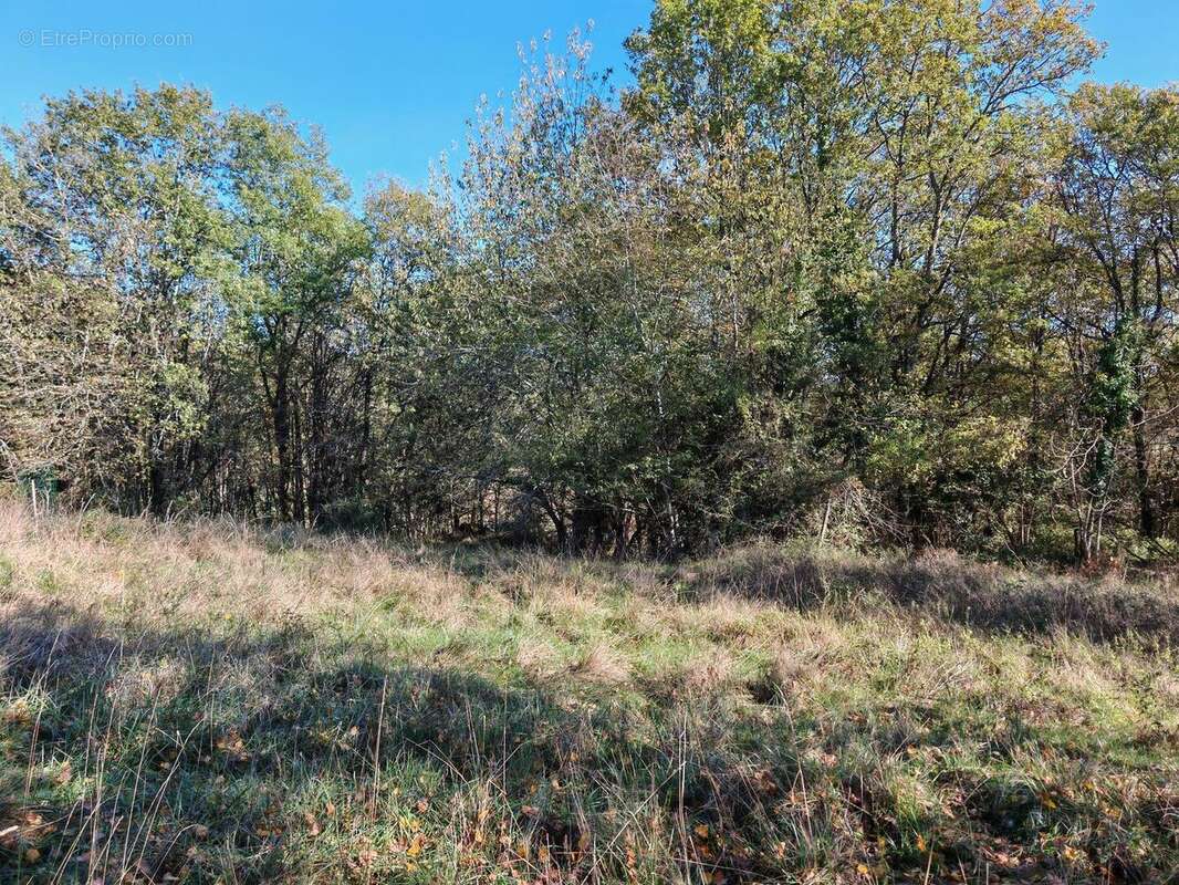 IMG20251030142126 - Maison à MONTIGNAC