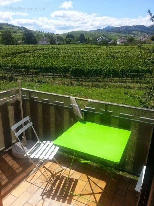 Photo 4 - Appartement à INGERSHEIM