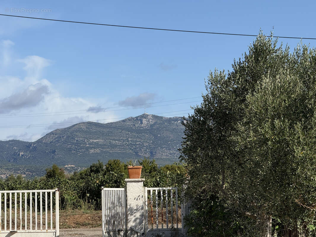Maison à SAINT-ANDRE-DE-SANGONIS