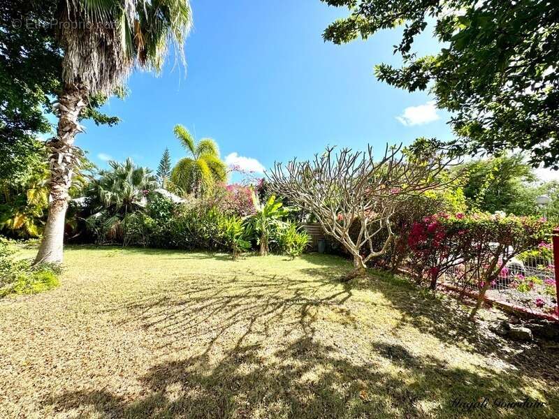 Maison à SAINT-FRANCOIS