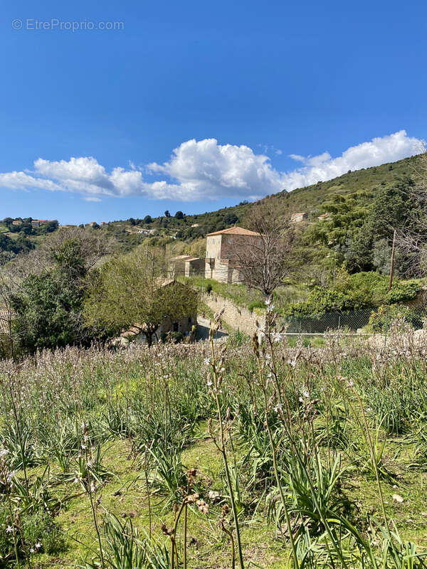 Terrain à PROPRIANO