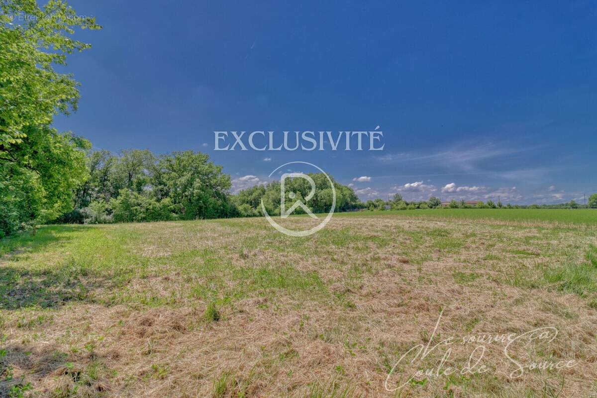 TERRAIN BEAUMONT DE LOMAGNE - Terrain à SERIGNAC