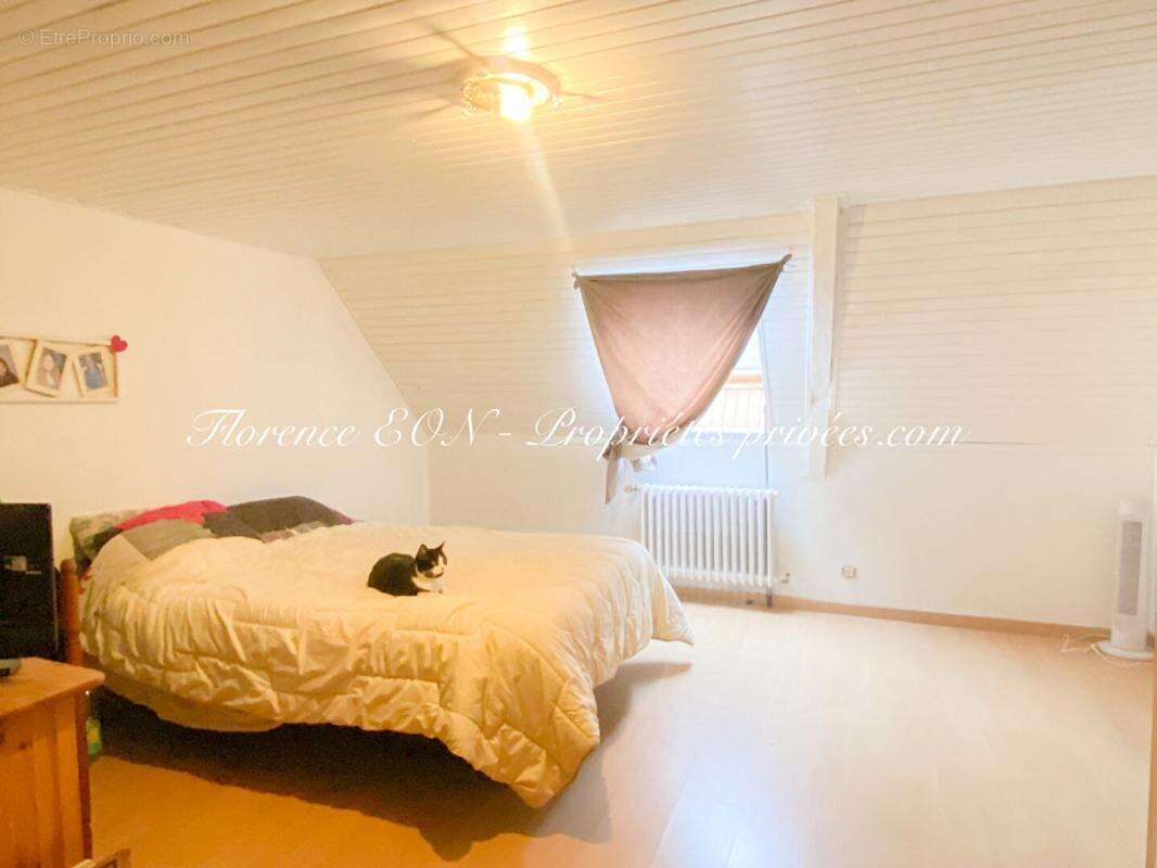 Maison à LA CHAPELLE-JANSON