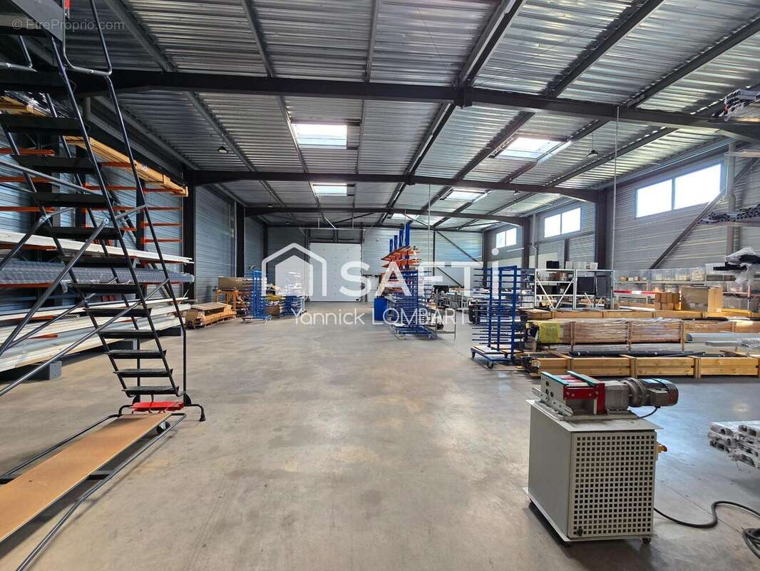 Photo 5 - Commerce à GAILLAC