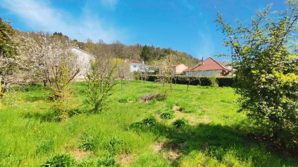 Terrain à MONTESQUIEU-VOLVESTRE