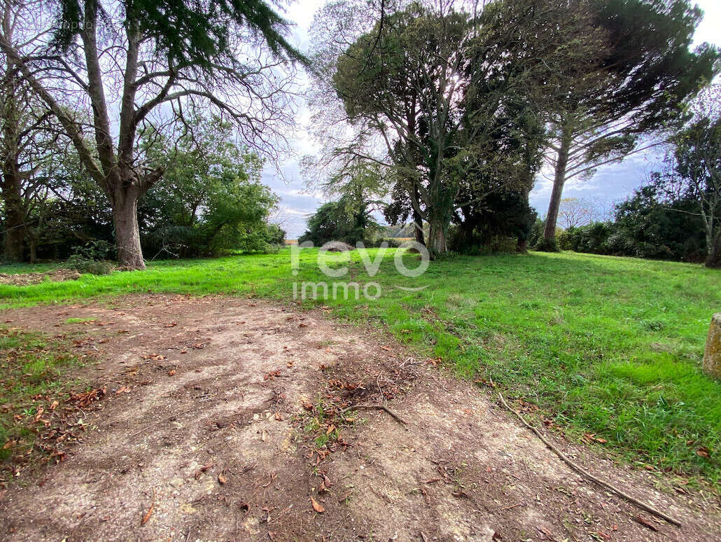 Demeure de caractère du 19ème siècle  325 m²  Fort potentiel - photo 10