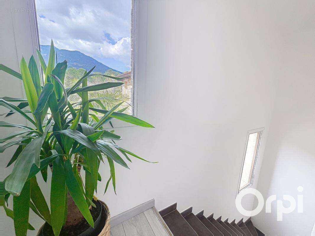 Maison à PORTO-VECCHIO