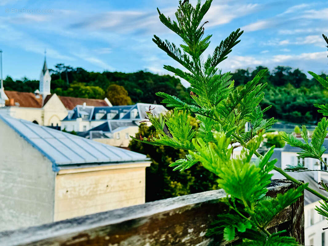 VERSAILLES quartier Saint Louis dernier étage terrasse vue panoramique parking ascenseur balcon - photo 2