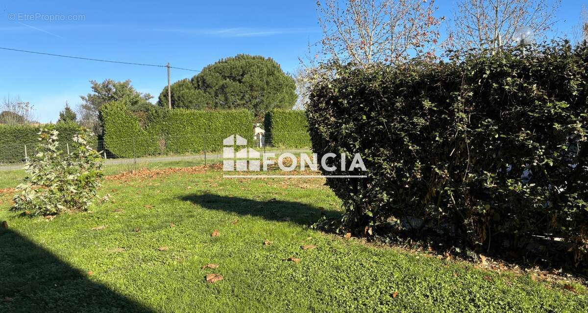 Appartement à MONTECH