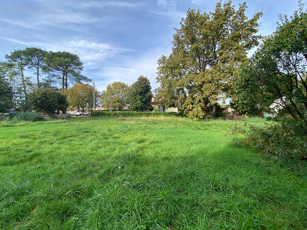 Terrain à GUJAN-MESTRAS