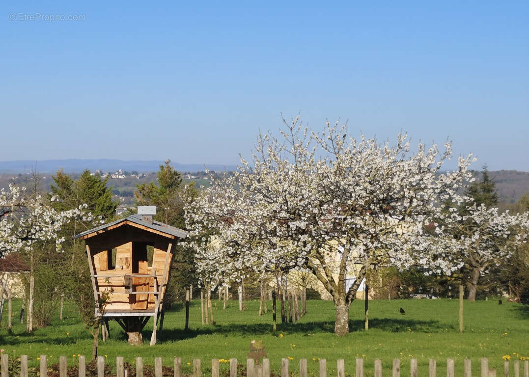 Maison à CREUZIER-LE-VIEUX