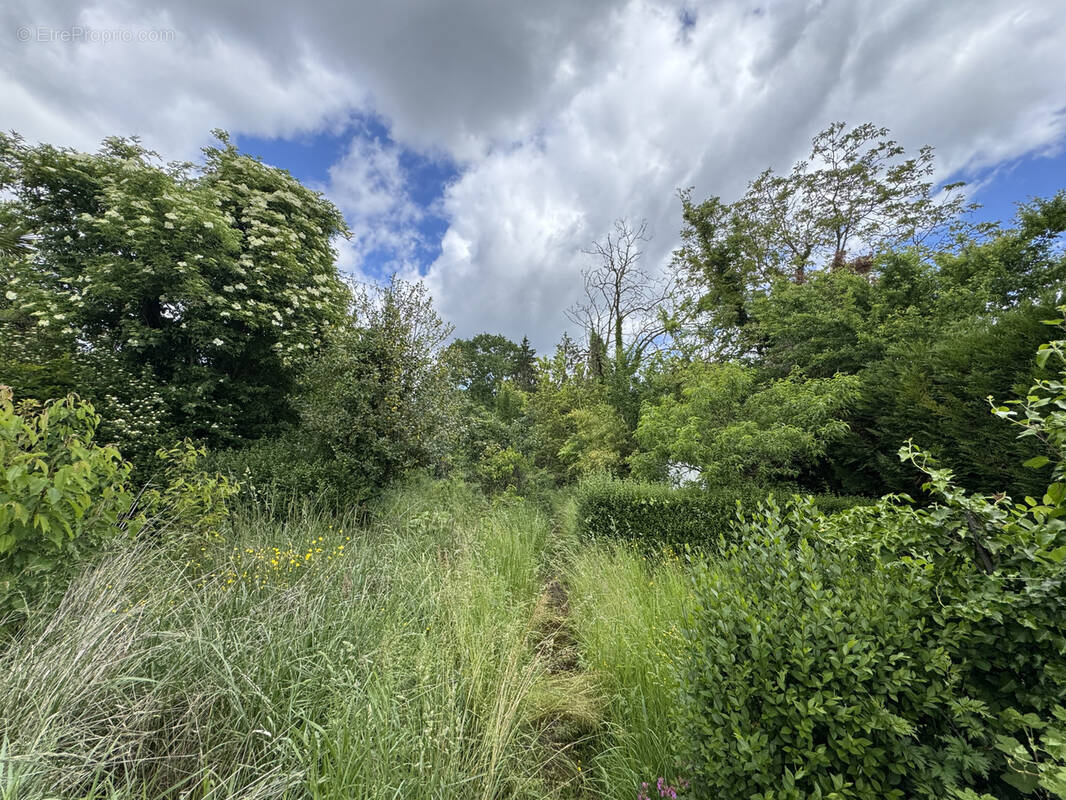 Terrain à PLOBSHEIM