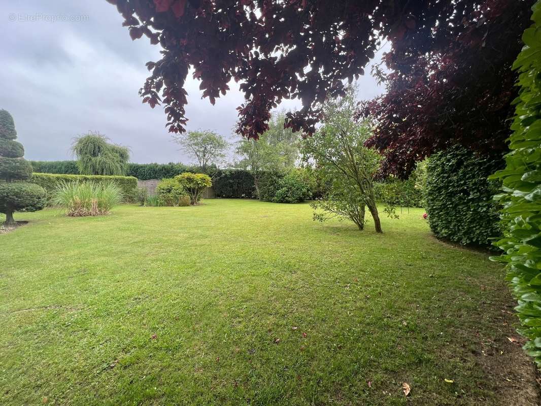 Terrain à CAMPHIN-EN-CAREMBAULT