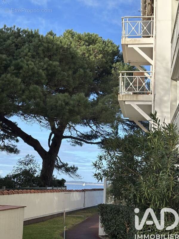 Photo 1 - Appartement à ARCACHON