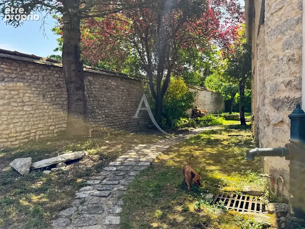 Maison en pierre renovée avec cave et jardin clos - photo 14
