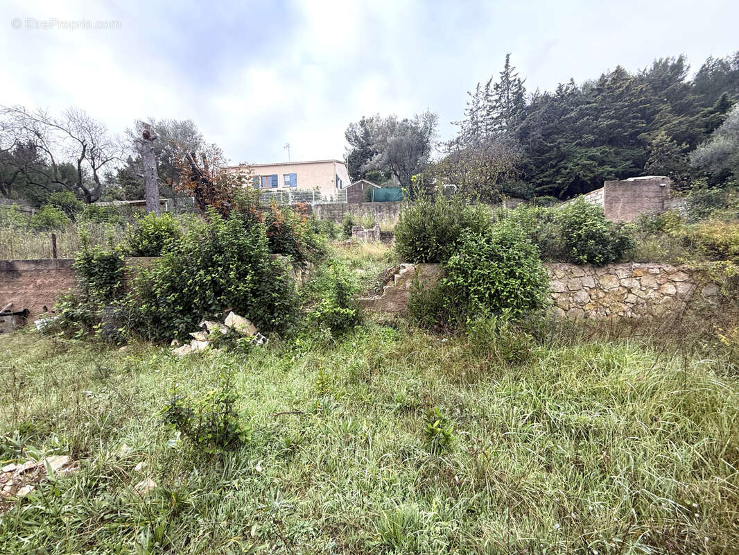 Terrain à SANARY-SUR-MER