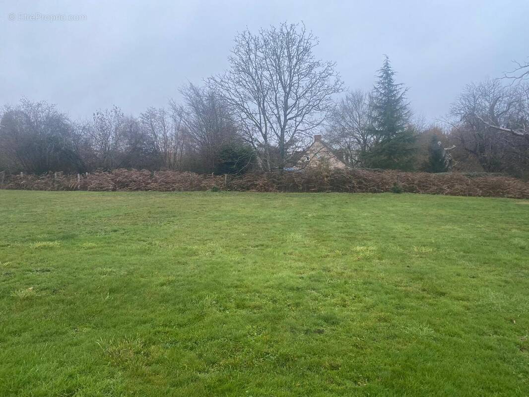 Terrain à PRECIGNE