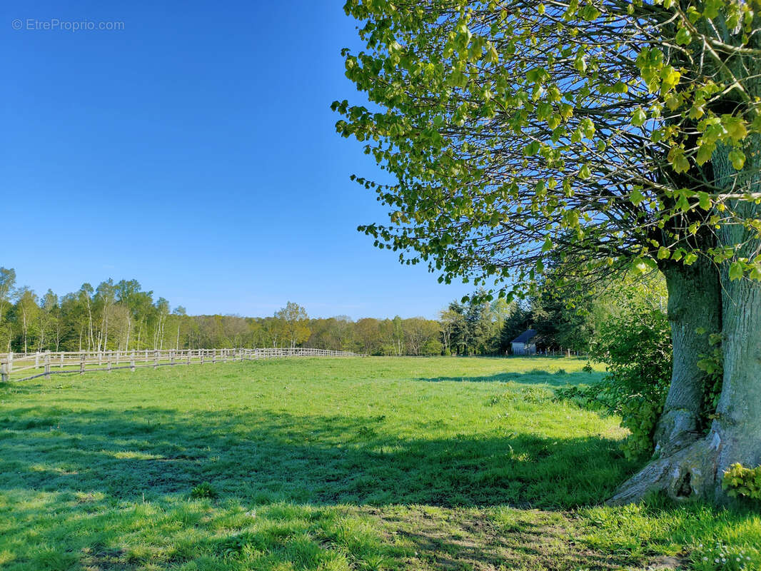 Propriété équestre avec 13 hectares - photo 29