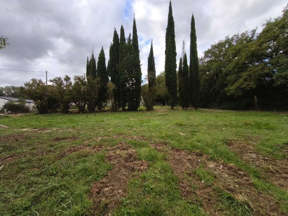Terrain 605 m² à Malataverne  - photo 2