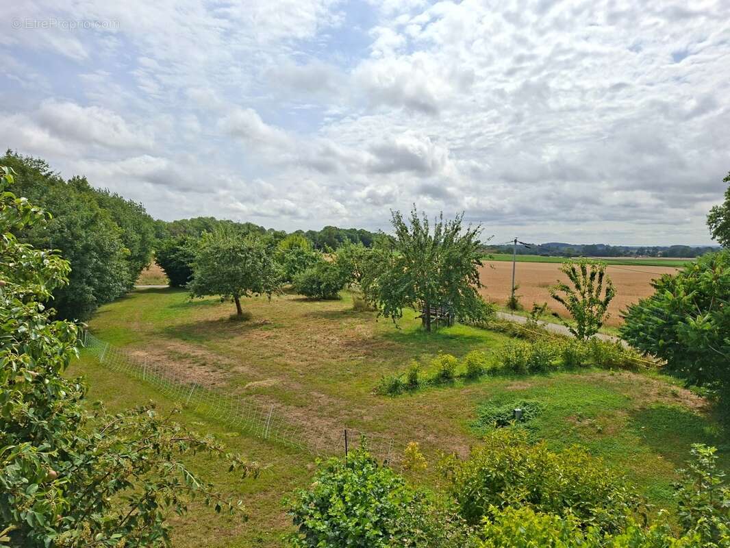 Propriété Corps de Ferme, 3 batisses en pierre, Batiments agricoles, gite & habitation de Qualité, proche LE PERCHE, ALENCON, 2h - photo 4