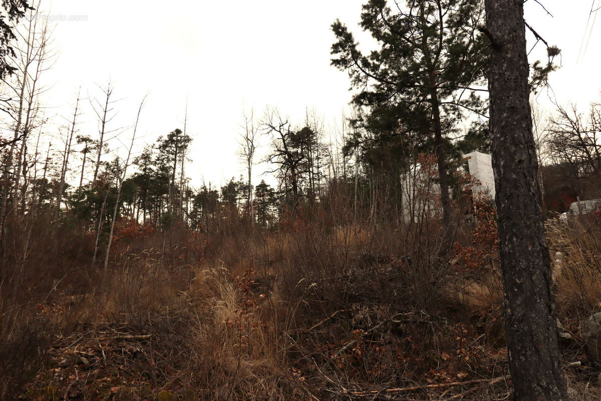 Terrain à BEAUVEZER