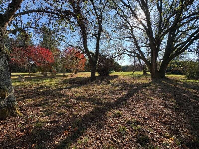 Maison à AIRE-SUR-L&#039;ADOUR