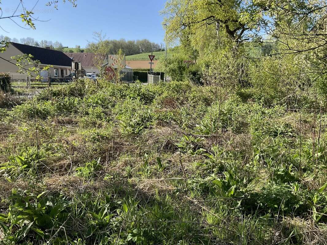 Terrain à BEAUMERIE-SAINT-MARTIN