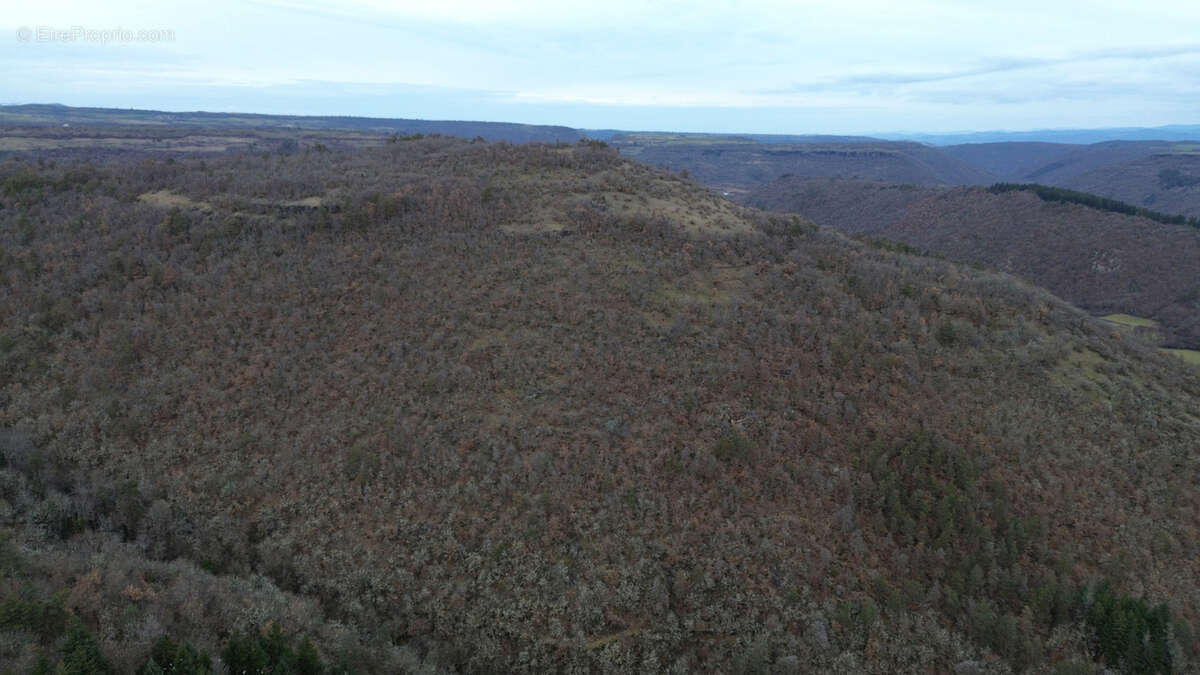 Terrain à AURIAC-L'EGLISE