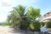 Appartement à PROPRIANO