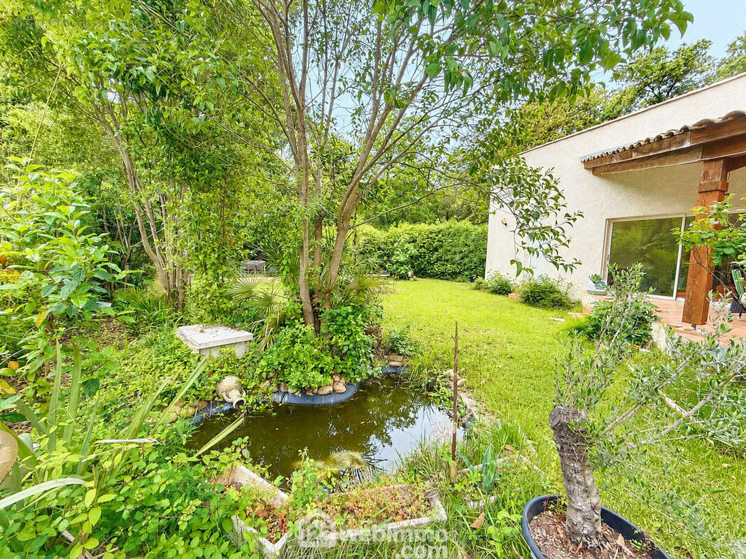 Jardin