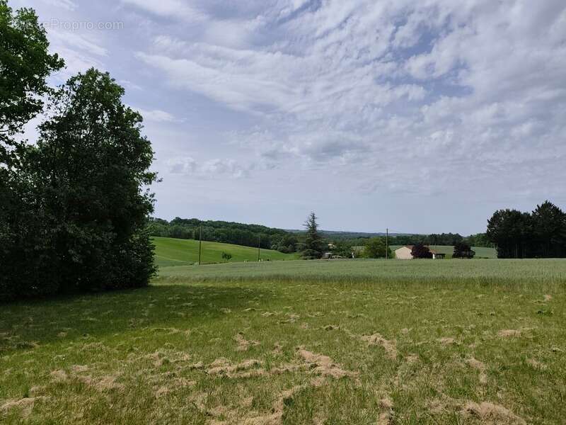 Grange à vendre 1 pièces VARAIGNES (24) - photo 13