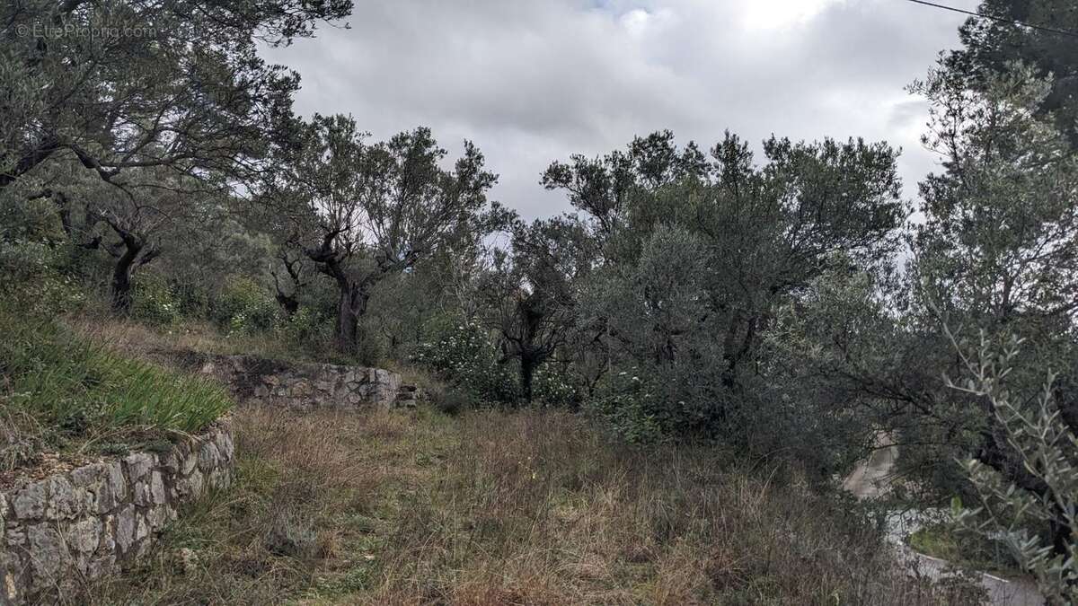 Terrain à CLAVIERS