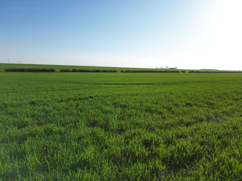 Terrain à VINEUIL