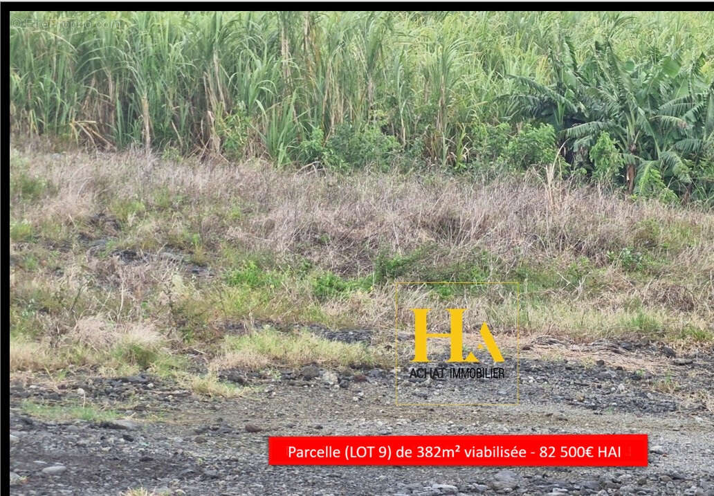 Terrain à SAINTE-ROSE