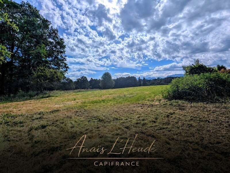 ARBUSIGNY - Terrain constructible 847 m² dans un environnement recherché - photo 2