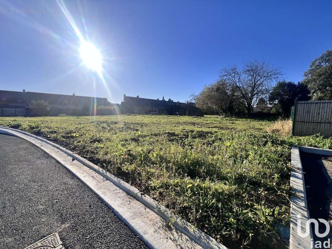 Photo 3 - Terrain à IBOS