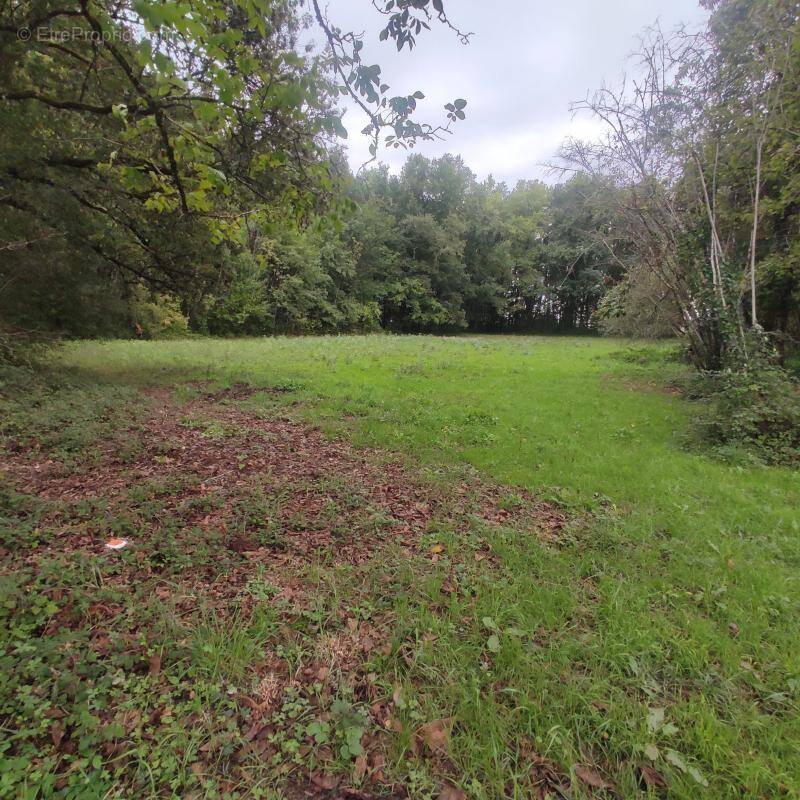 Terrain à SAINT-ASTIER