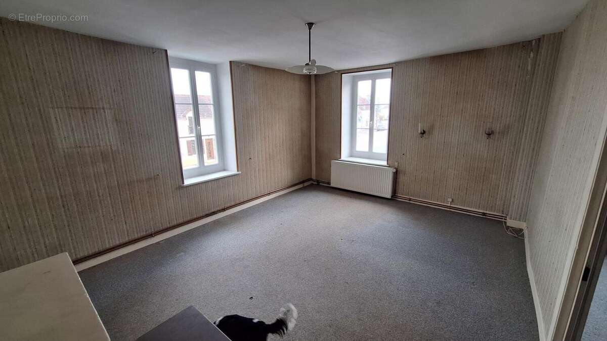 Photo 4 - Maison à OUROUER-LES-BOURDELINS